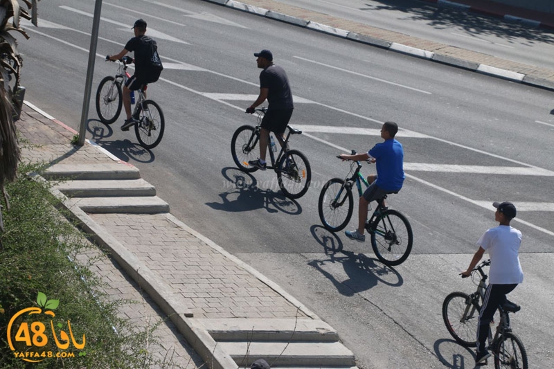 hertslaiaya hai2a (47).jpg